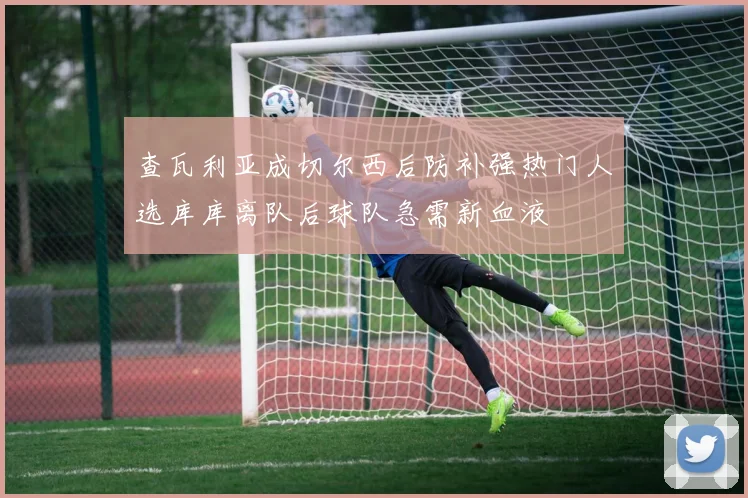查瓦利亚成切尔西后防补强热门人选库库离队后球队急需新血液